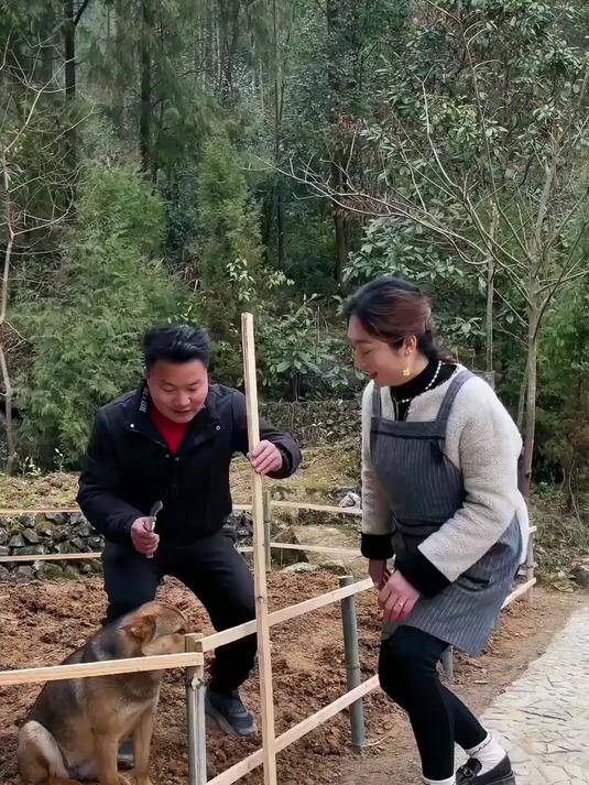 上次给菜园钉的篱笆大家都说钉错了，这次是按照大家的要求钉的