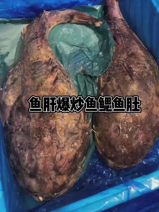 用杜父鱼的鱼肝爆炒他的鱼肚鱼鳃鱼腩