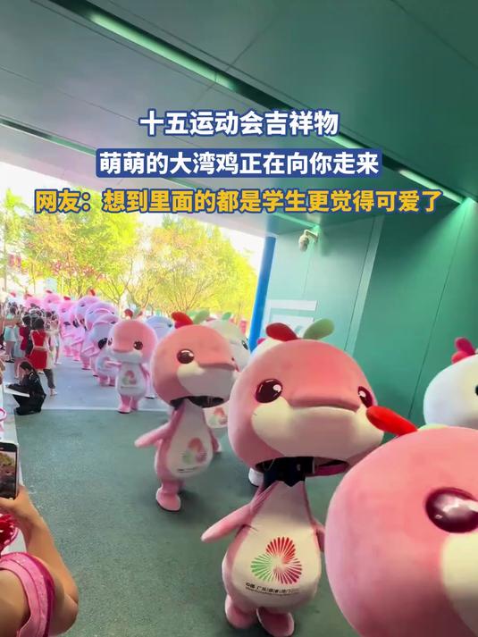 十五运动会吉祥物,萌萌的大湾鸡正在向你走来