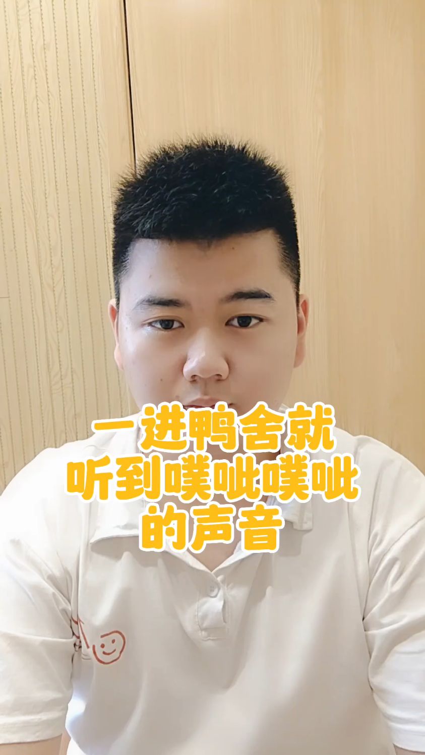 #鸭子拉稀水便怎么办小鸭子拉水便怎么治疗小鸭子拉的屎比较稀为什么鸭子拉稀屎喂什么