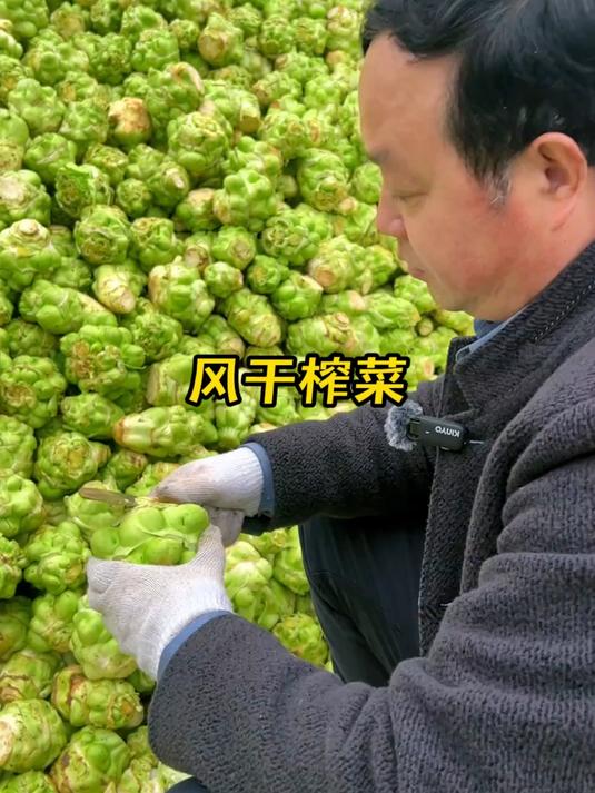 中国榨菜之乡重庆涪陵
