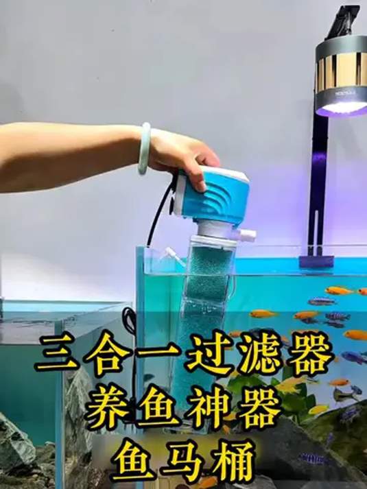 鱼缸过滤神器:三合一鱼马桶,吸粪净缸,打造空气缸