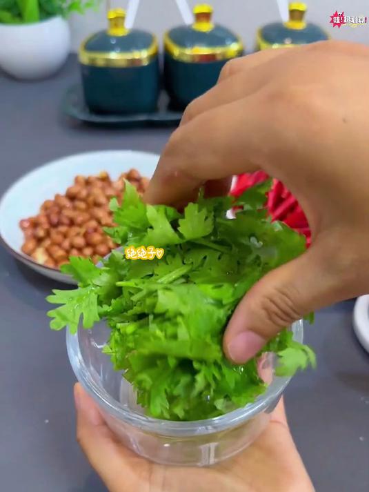 摩动绞肉机家用电动 小型多功能全自动料理机 分开大小四碗不串味