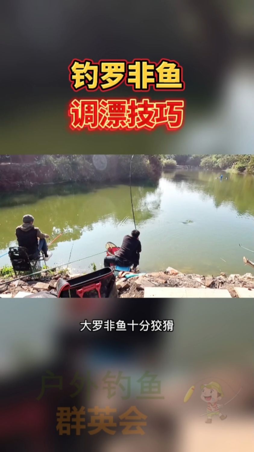 钓罗非鱼漂漂技巧,钓罗非鱼怎么调漂?