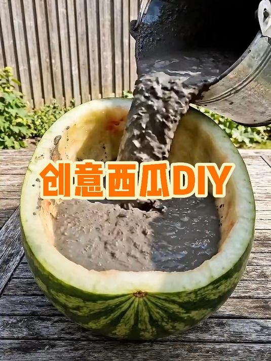 0成本DIY！吃完西瓜皮这样弄，轻松拥有高颜值水泥花盆。