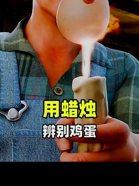 用一根蜡烛就能知道鸡蛋能否孵出小鸡