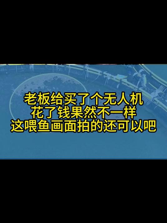 无人机拍摄网箱养鱼,投喂饲料,这个网箱拍摄的如何?