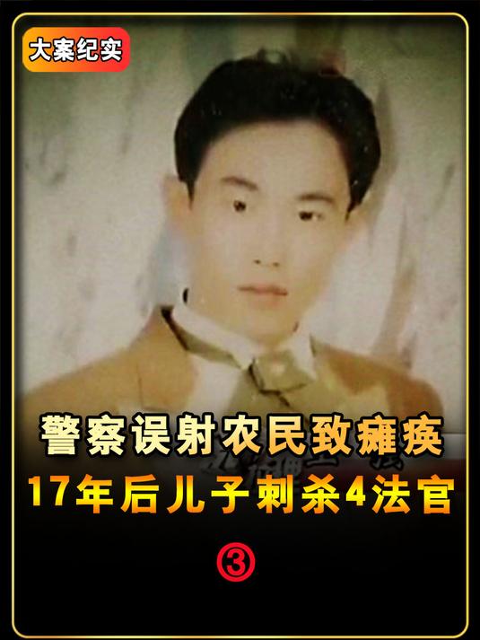 警察办案时误射农民致瘫痪,17年后儿子复仇刺杀4名法官(3)