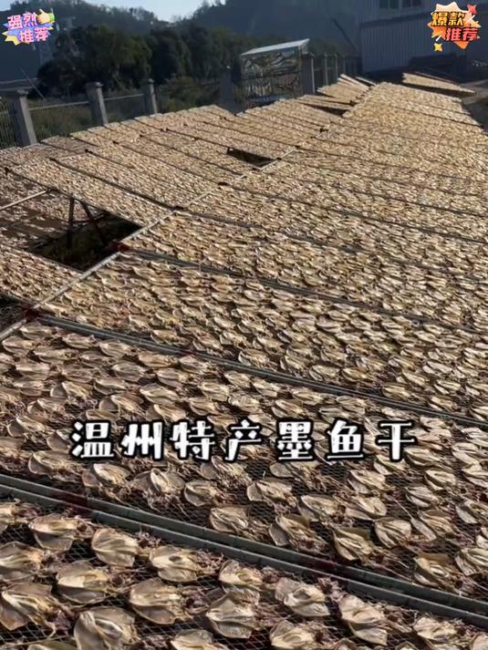 这样的 墨鱼干_品质好不好你们说了算 海鲜干货