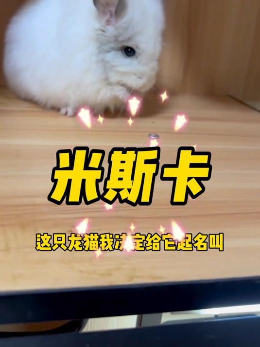 新成员!真食过人的食人鱼!