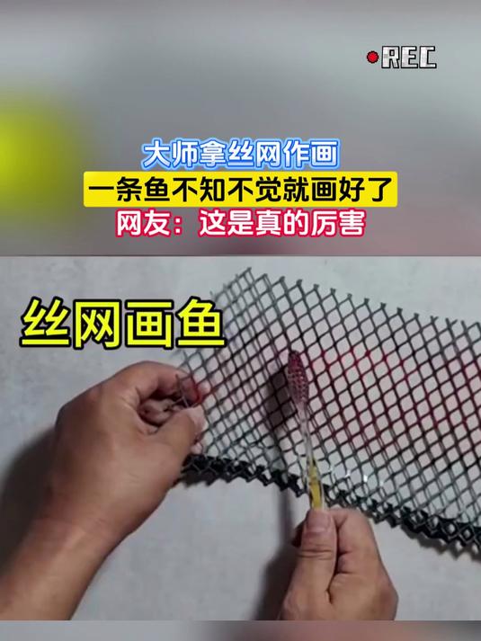 大师拿丝网作画，一条鱼不知不觉就画好了，网友：这是真的厉害