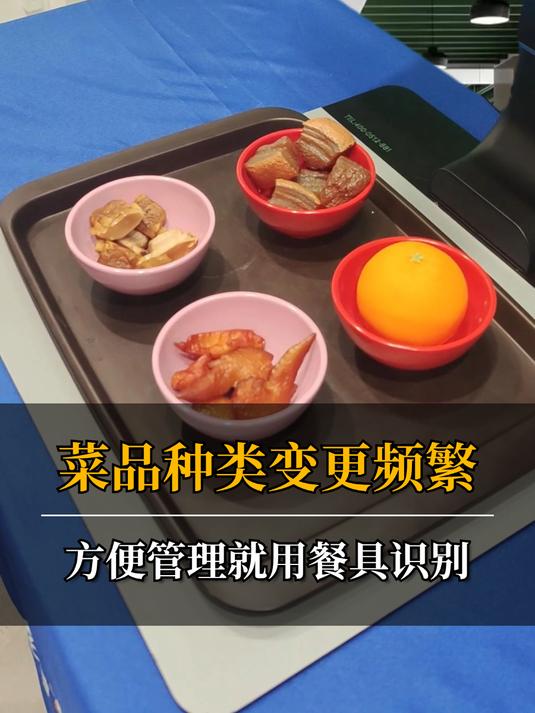 菜品种类多变更频繁选用餐具识别