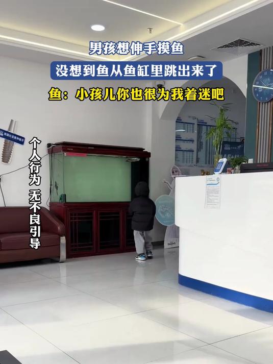 男孩想伸手摸鱼,没想到鱼从鱼缸里跳出来了