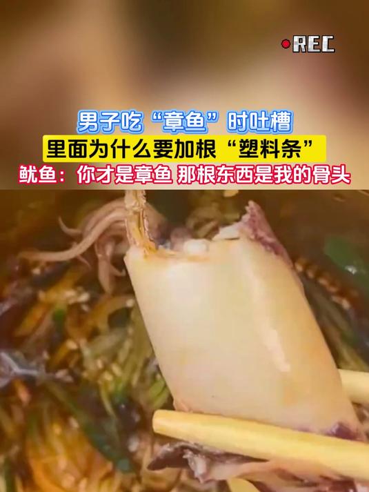 男子吃“章鱼”时吐槽,里面为什么要加根“塑料条”,鱿鱼:你才是章鱼 那根东西是我的骨头