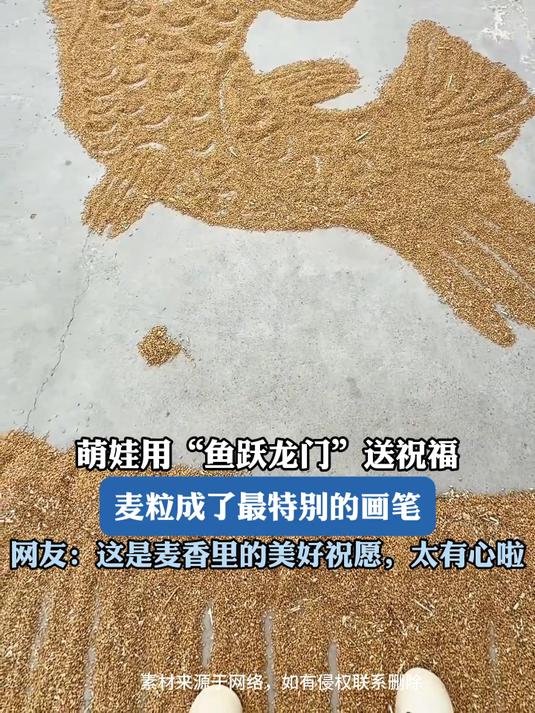 萌娃用“鱼跃龙门”送祝福,麦粒成了最特别的画笔