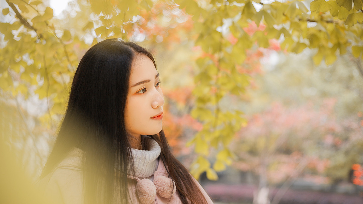 图片[13]-学校的银杏-六色网
