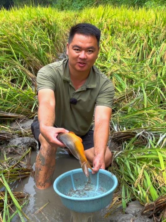 上次放了一批种鱼到田里养,希望能繁殖出小鱼苗,今天来看看效果
