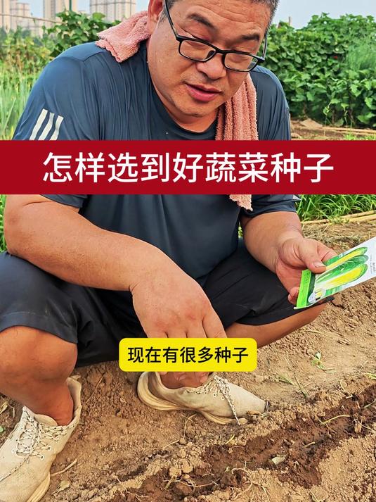 怎样选到好蔬菜种子3