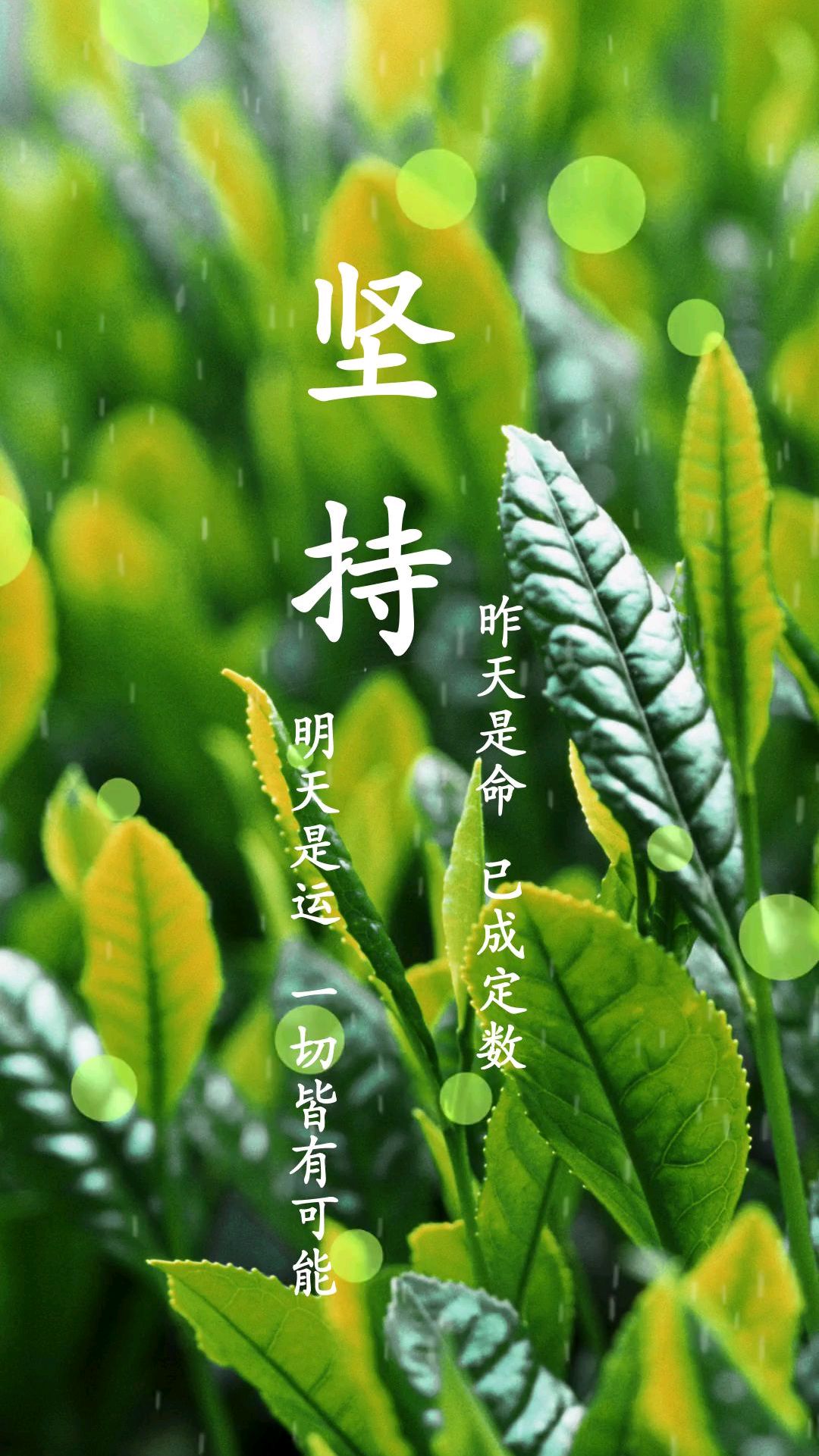 高清励志绿色护眼壁纸——坚持