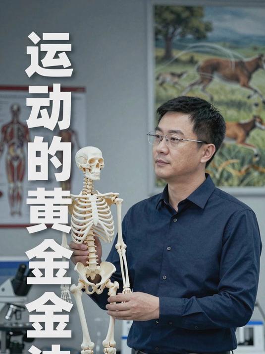 为什么动物的运动系统由骨、关节和肌肉组成？