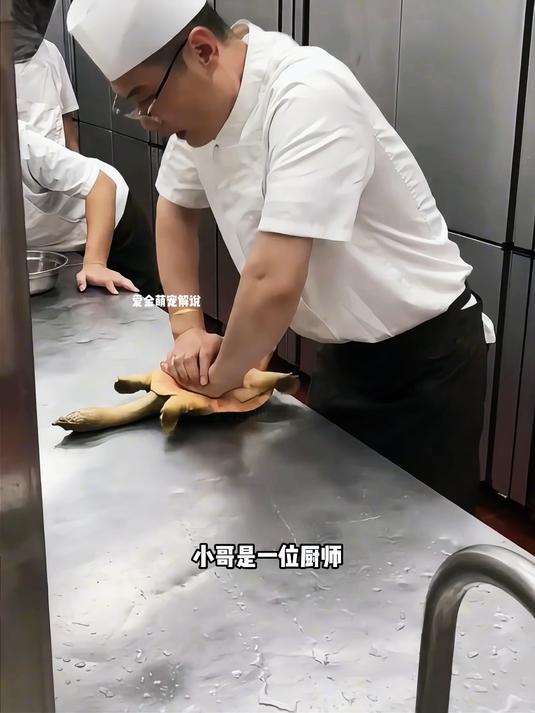 好心小哥放生甲鱼,甲鱼流下感动的泪水