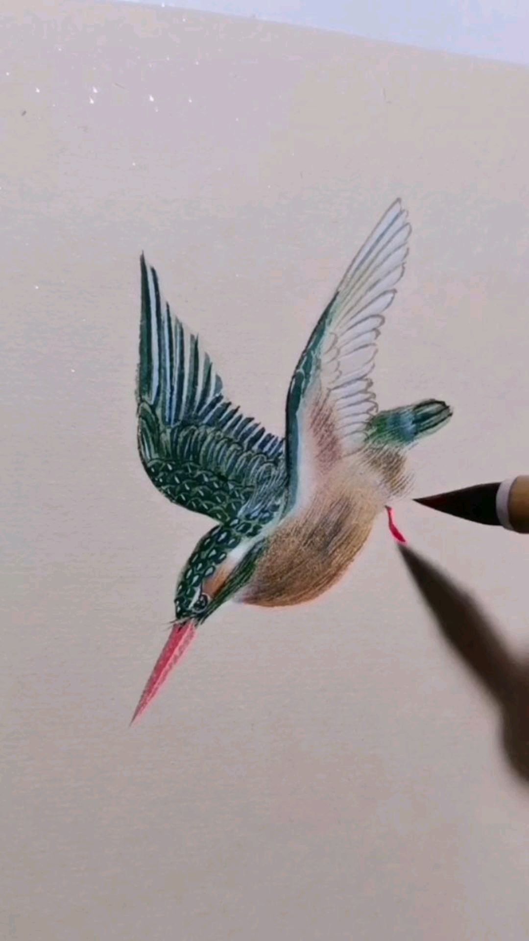 画一只正在捕鱼的翠鸟