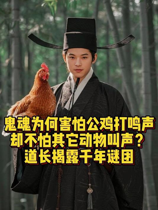 鬼魂为何害怕公鸡打鸣声,却不怕其它动物叫声?道长揭露千年谜团