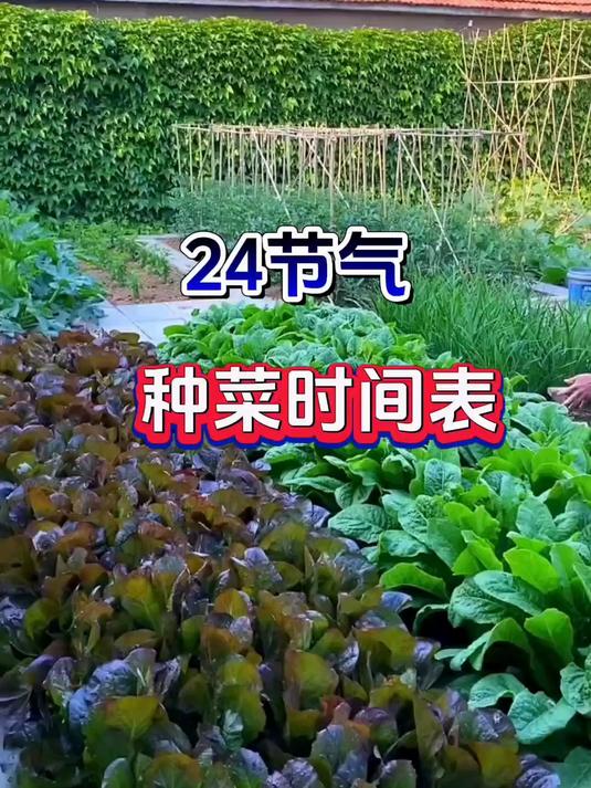 24节气种菜时间表
