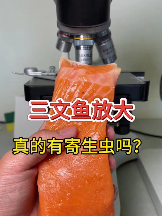 显微镜下的三文鱼，看完后你还敢吃吗