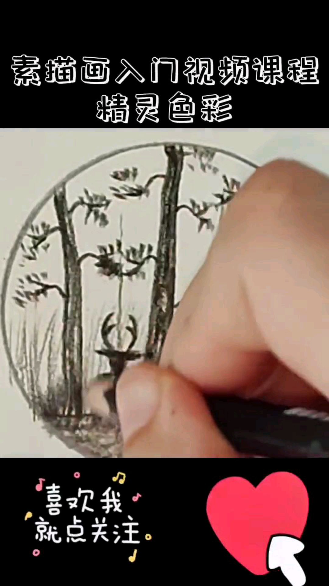 素描画入门视频课程-深林小鹿