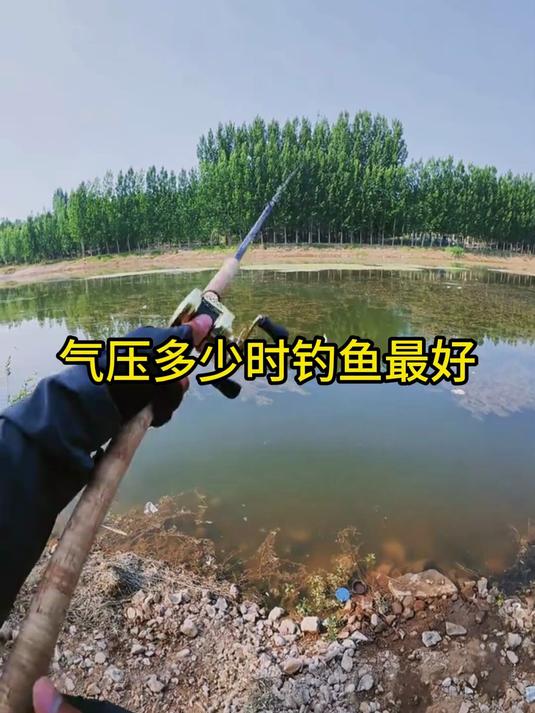 气压多少最适合钓鱼?这个数值让你满载而归