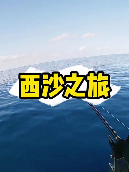 一年一次的西沙之旅 号称一半水一半鱼