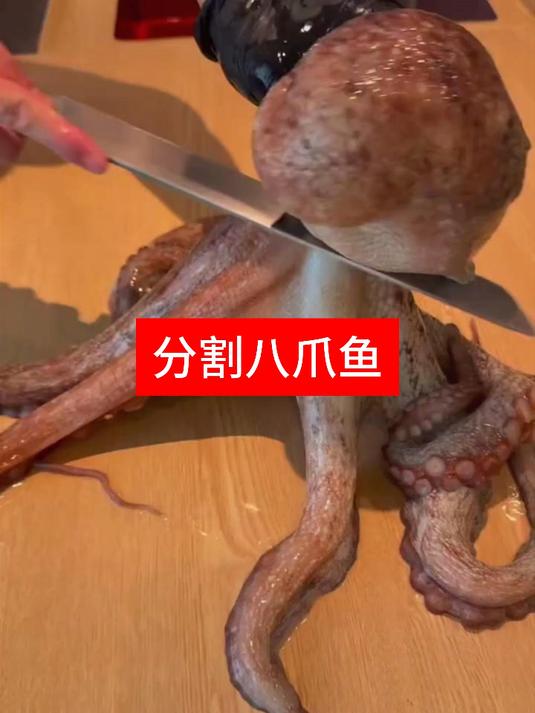 厨子大师分割八爪鱼真滑溜!