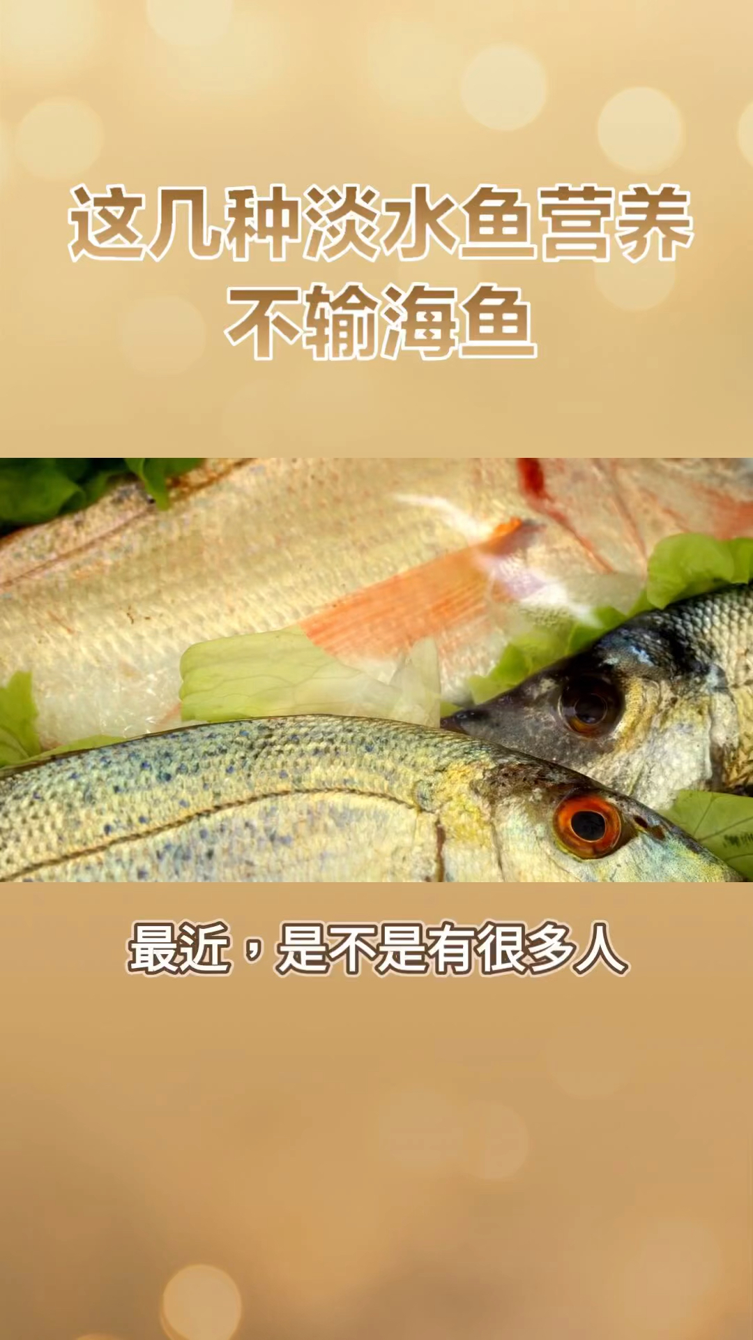 不吃海鱼?请吃这三种淡水鱼吧