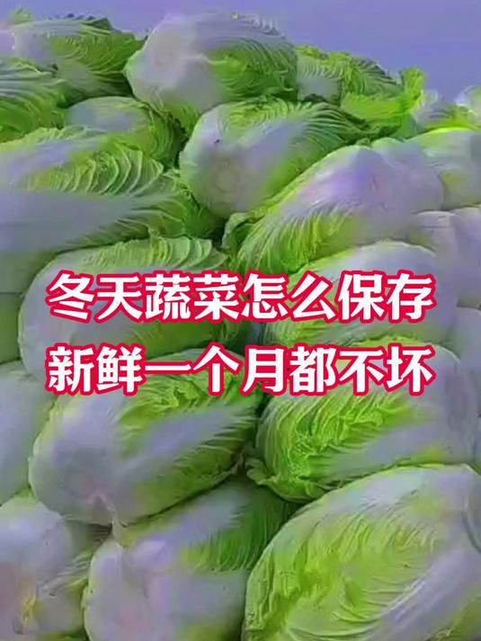 冬天蔬菜怎么保存