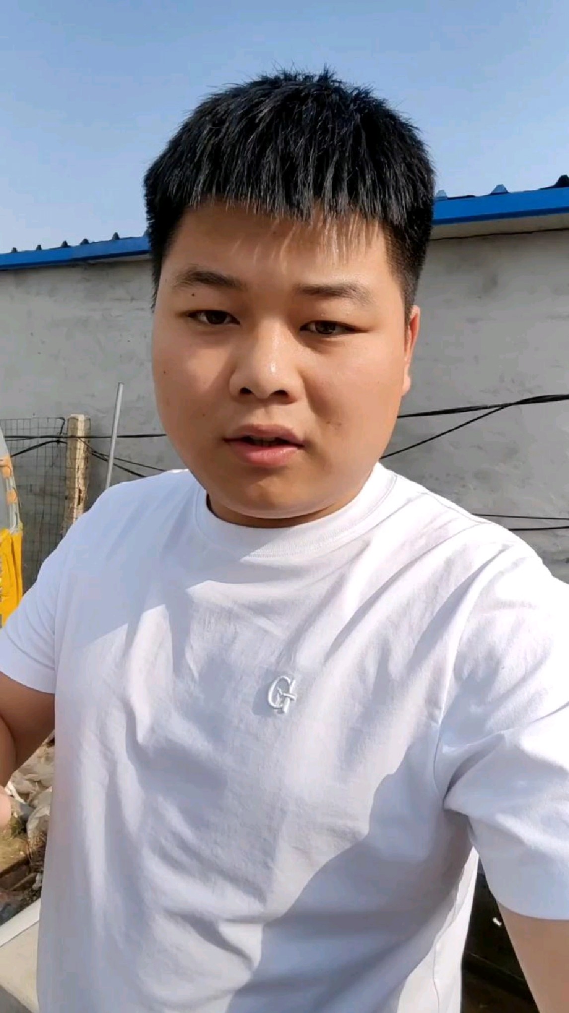 一次告诉你该如何挑选适合你兰寿金鱼