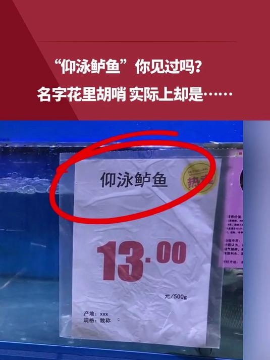 “仰泳鲈鱼”你见过吗?名字花里胡哨 实际上却是……