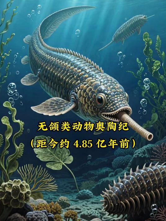 金鱼咋变的？演化全程超有趣