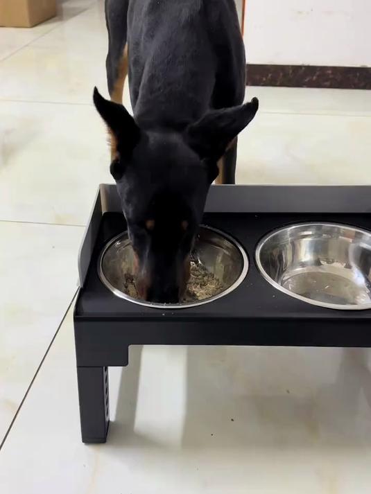 不能只给他们吃猫狗粮,要每顿饭拌上营养又美味的鳕鱼肉松!