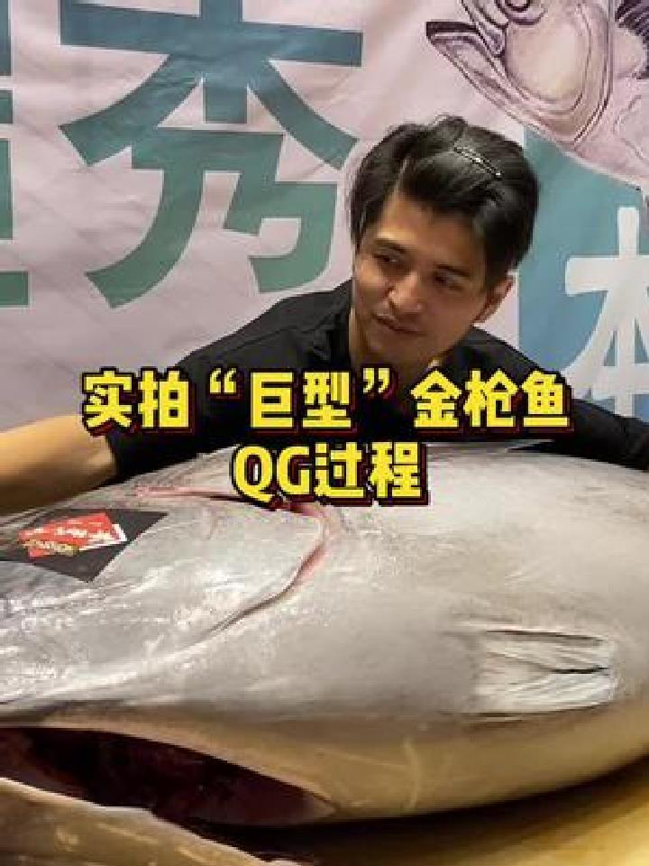 生吃250斤深海“蓝鳍金枪鱼”