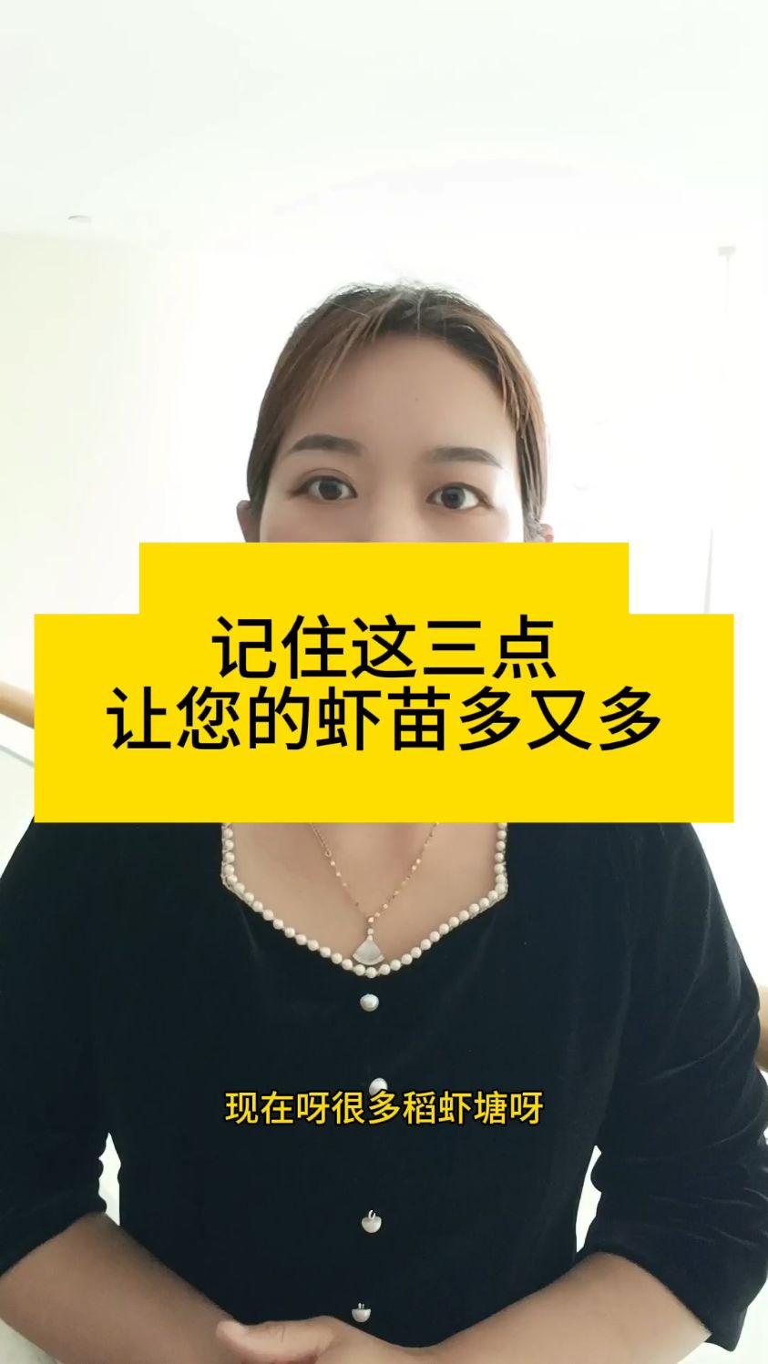 稻虾塘该怎么管理