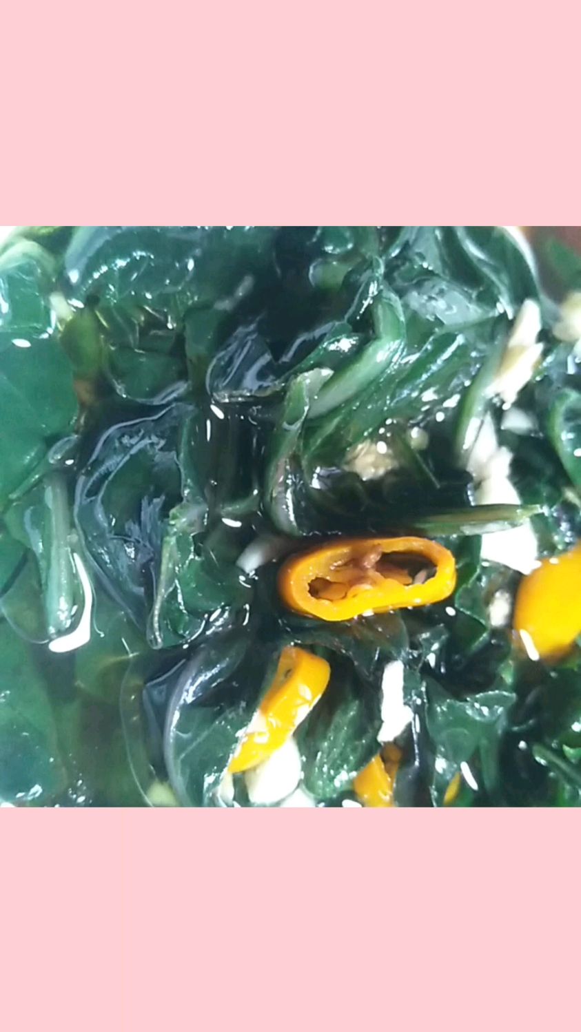 紫背菜这样子做更好吃哦