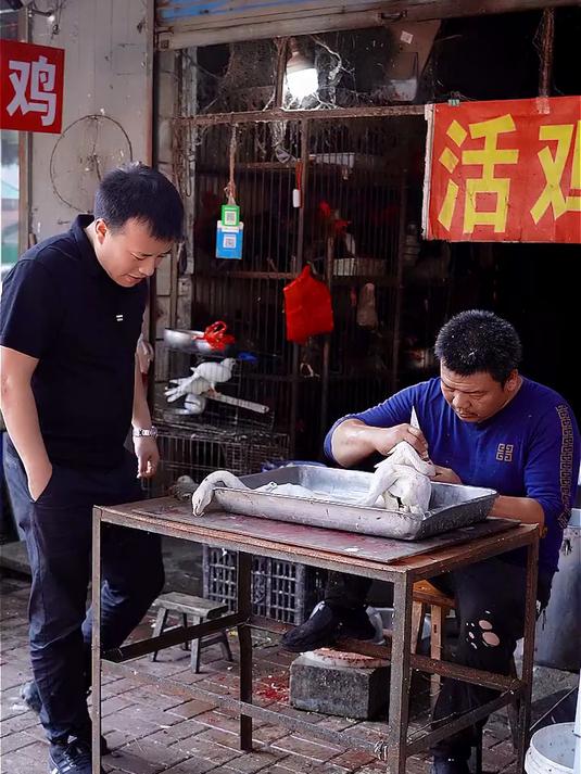 家养的北京烤鸭,味道绝美