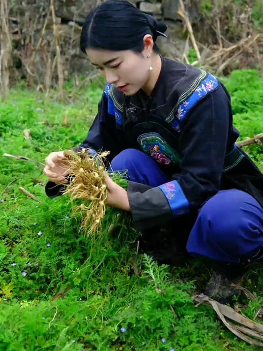 春天的味道,是漫山遍野的野菜香。社饭是儿时的回忆是妈妈的味道