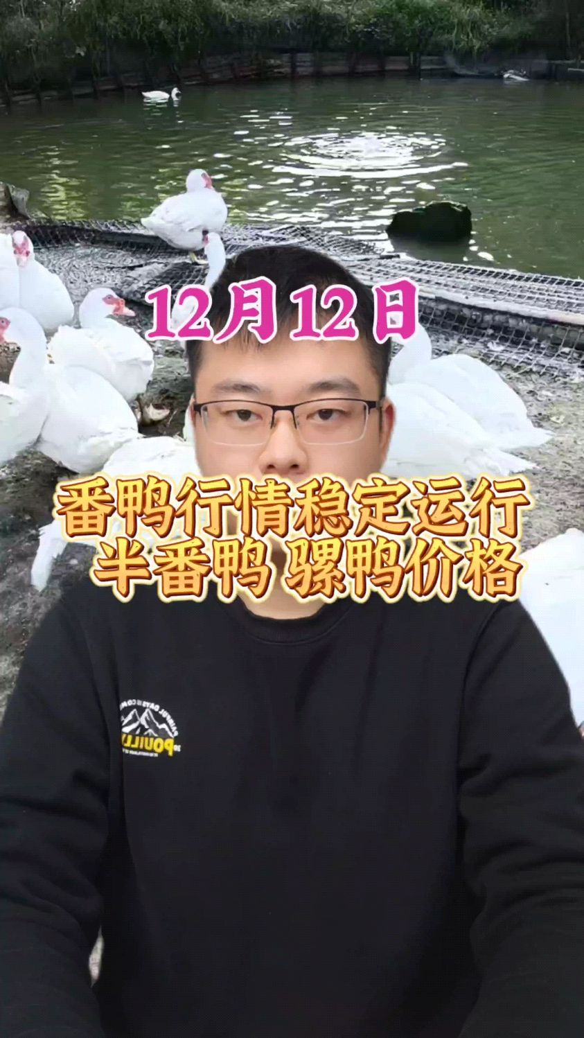 番鸭价格最新行情 番鸭价格表 番鸭价格 番鸭价格趋势 市场番鸭价格