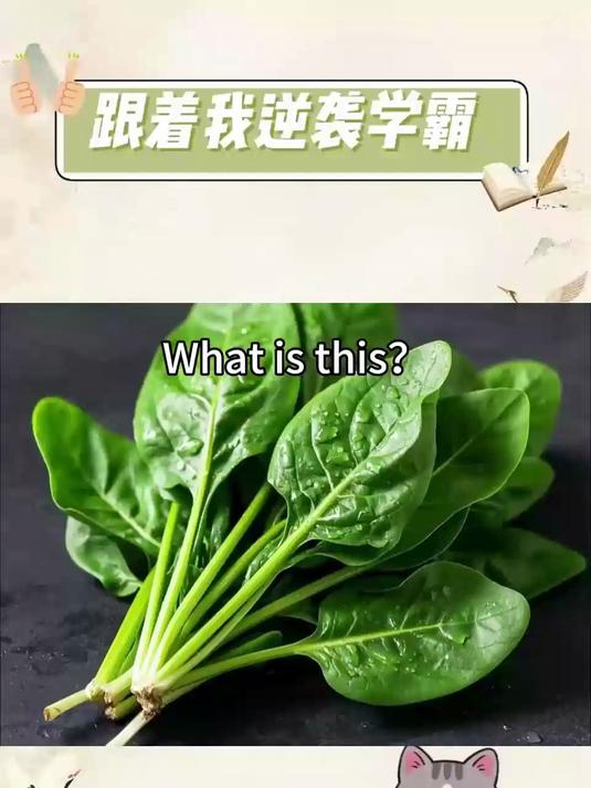常见蔬菜英语单词挑战 spinach 菠菜