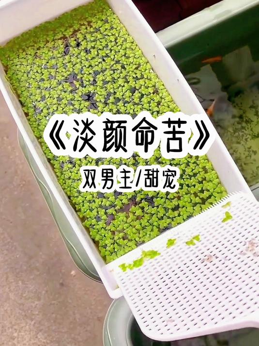 总裁秘书好命苦