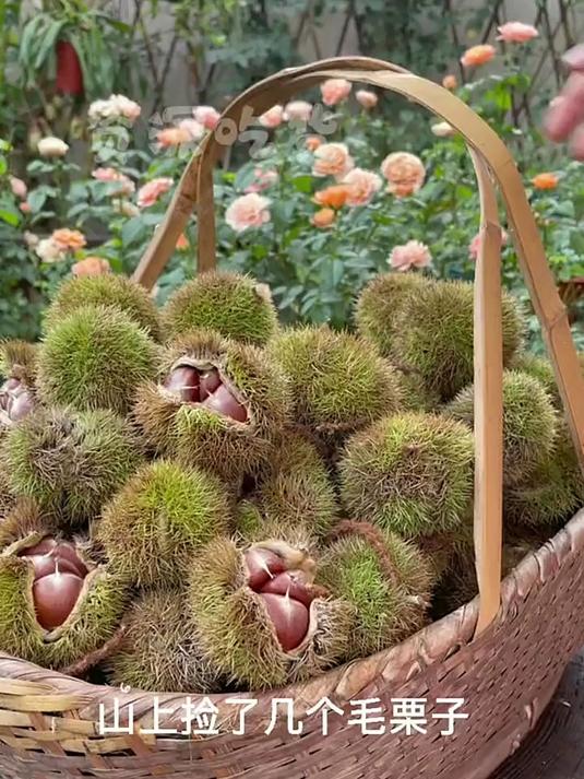 做个营养又清凉的板栗糕