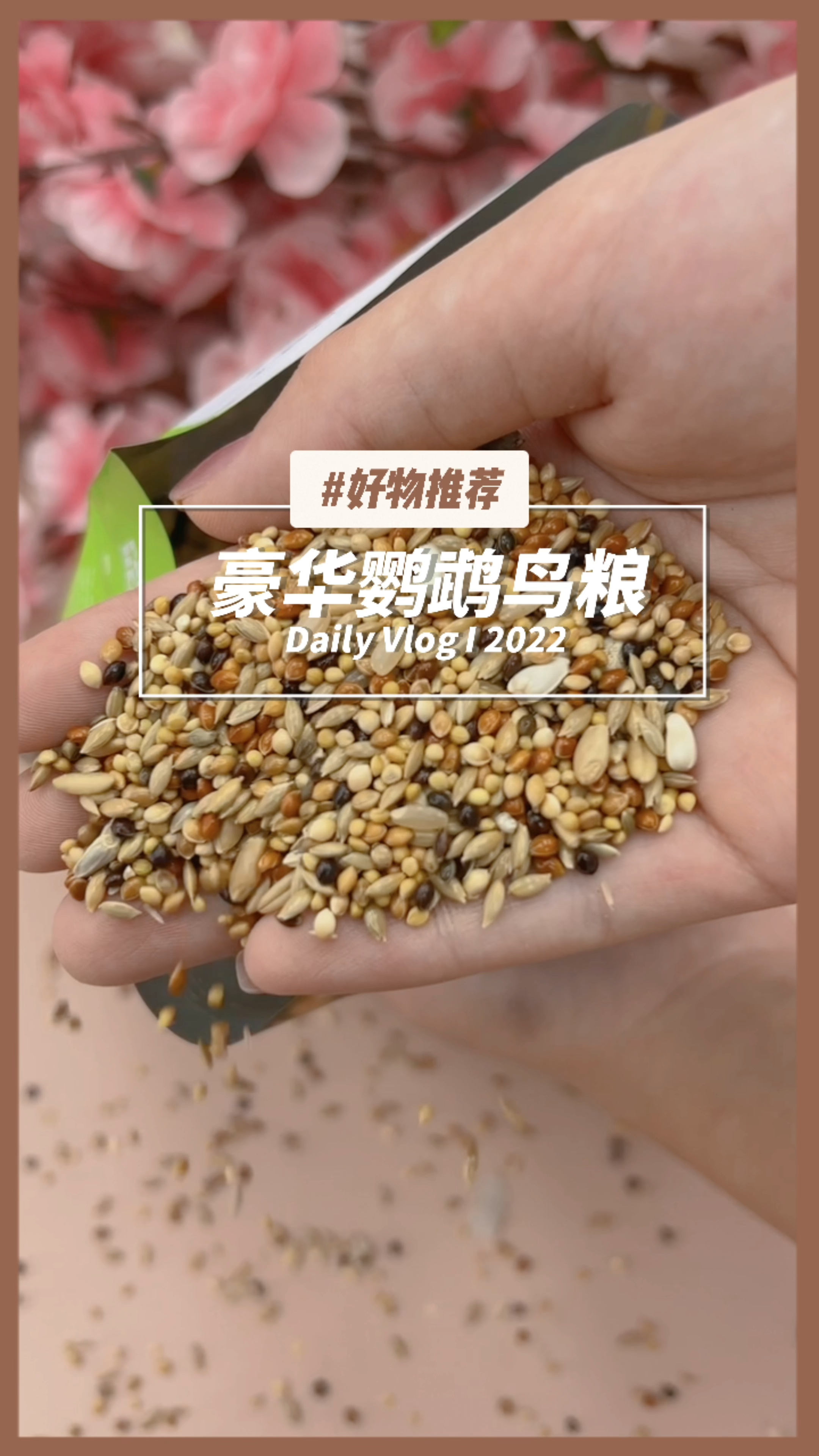 这是一个百分之八十的玄凤鹦鹉都喜欢的鸟粮