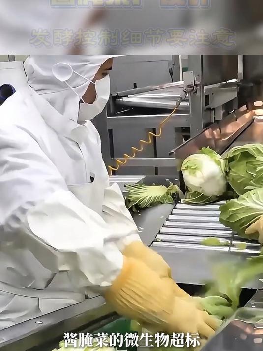 酱腌菜厂如何提高产品质量?从设计发酵区就要开始注意!